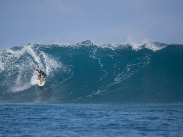 stimpys-siargao-international-surf-properties