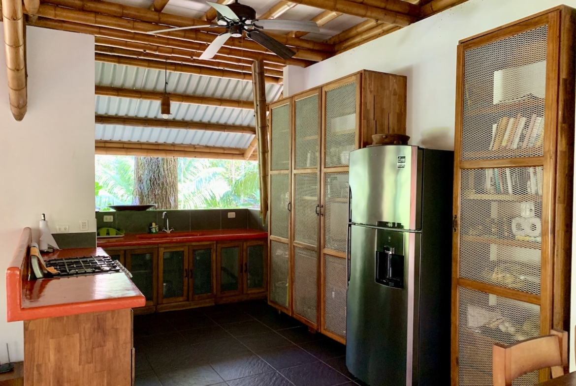 jungle-beach-exotic-retreat