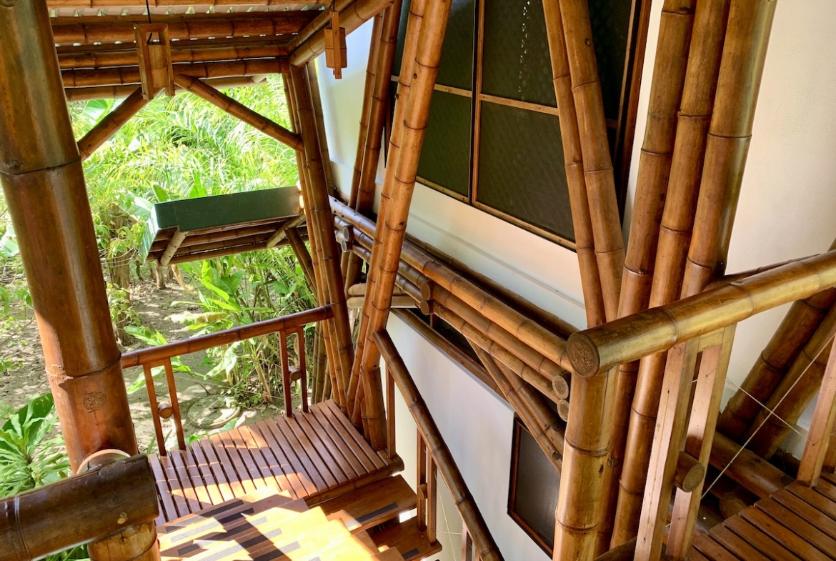 jungle-beach-exotic-retreat