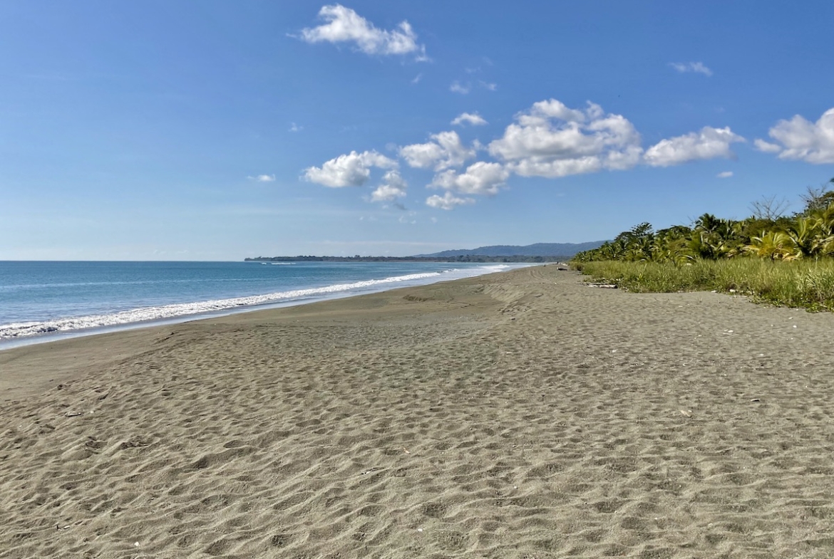 jungle-beach-exotic-retreat
