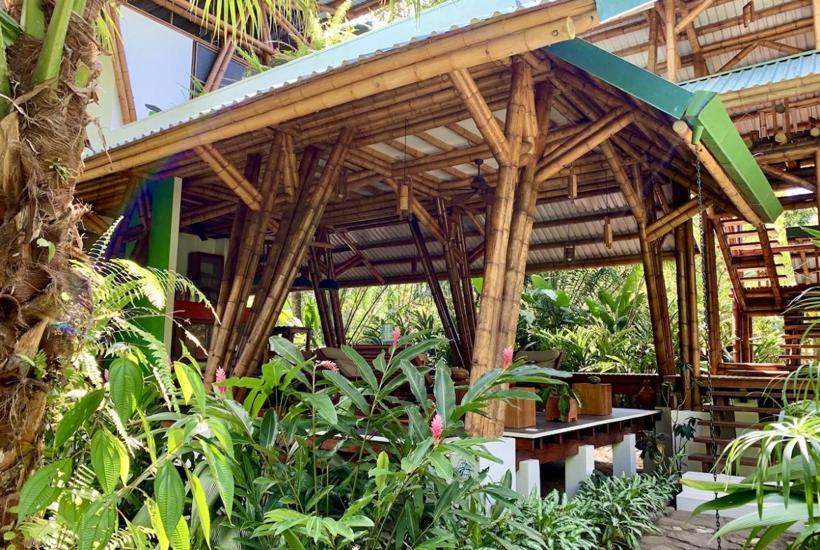 jungle-beach-exotic-retreat