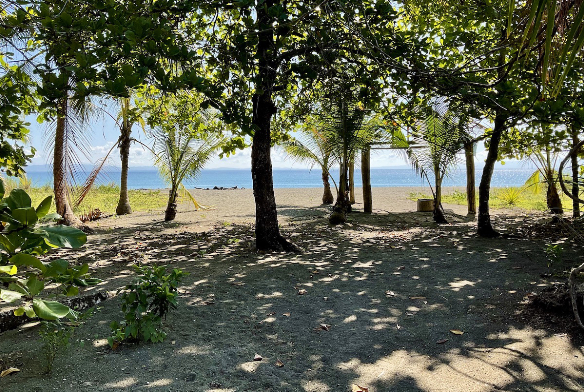 jungle-beach-exotic-retreat