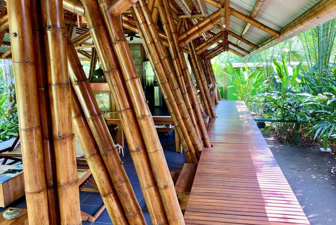 jungle-beach-exotic-retreat