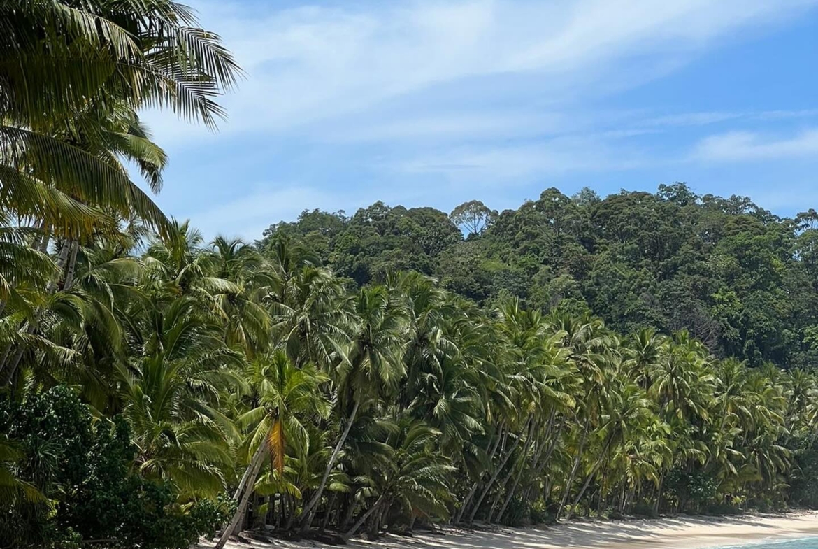 illa-santai-mandiri-krui-west-sumatra-for-sale