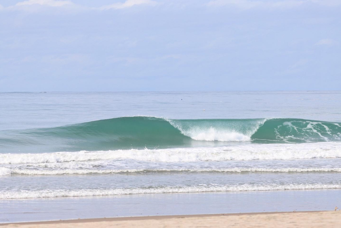 illa-santai-mandiri-krui-west-sumatra-for-sale