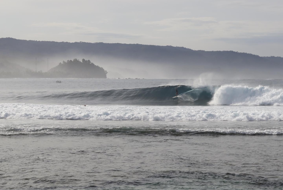 illa-santai-mandiri-krui-west-sumatra-for-sale