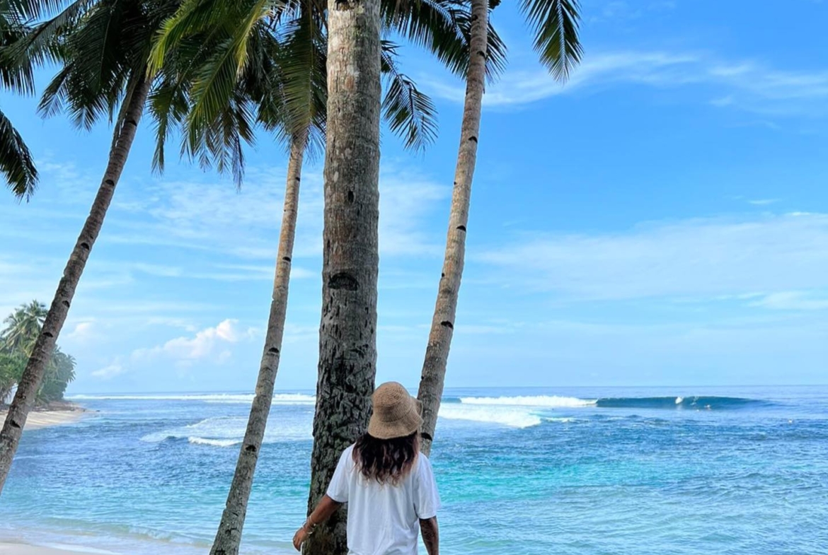 illa-santai-mandiri-krui-west-sumatra-for-sale