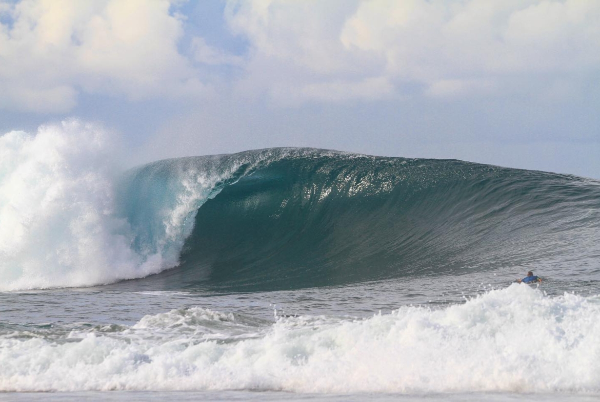 illa-santai-mandiri-krui-west-sumatra-for-sale