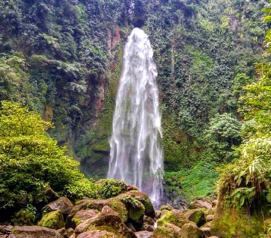 illa-santai-mandiri-krui-west-sumatra-for-sale