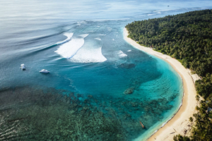 hollow-trees-resort-mentawai-islands