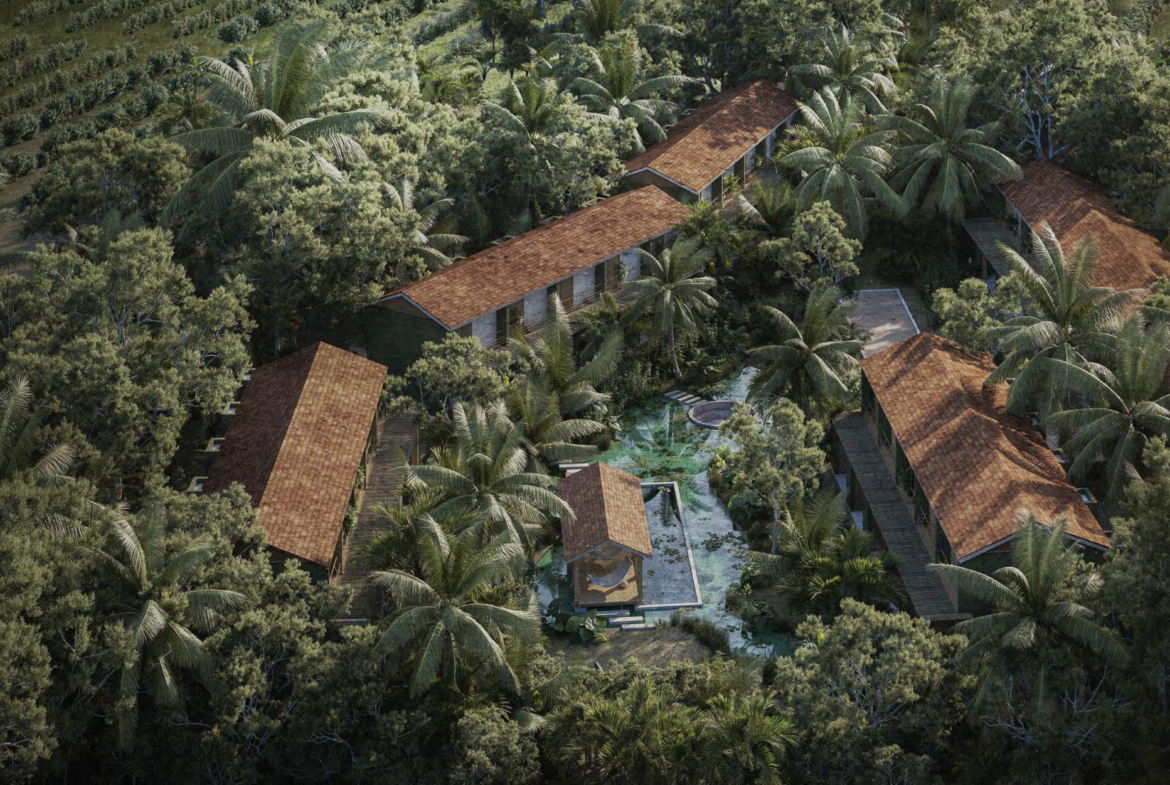 casa-mango-la-saladita