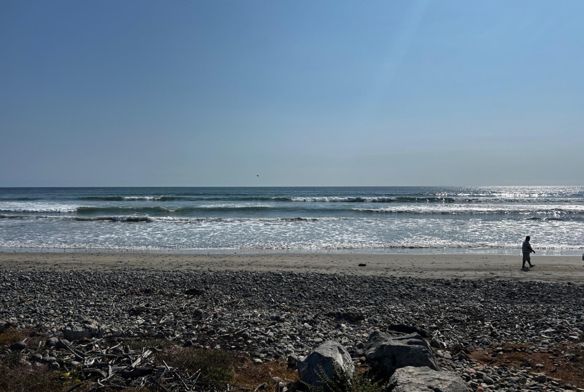 estrella-del-mar-development-saladita-mexico