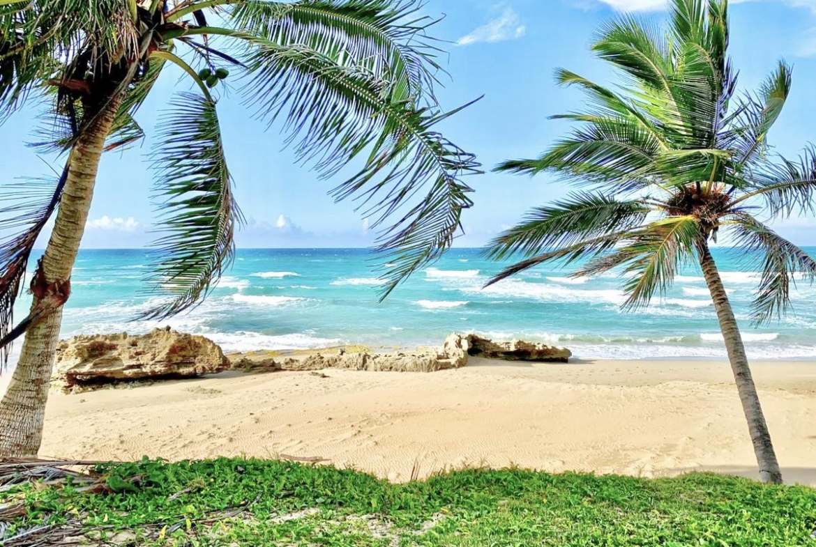 beachfront-lot-encuentro-beach-cabarete-dominican-republic