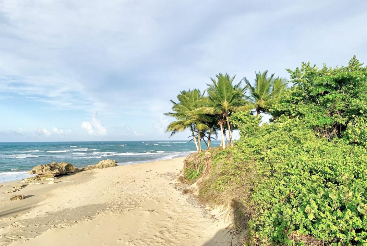 beachfront-lot-encuentro-beach-cabarete-dominican-republic