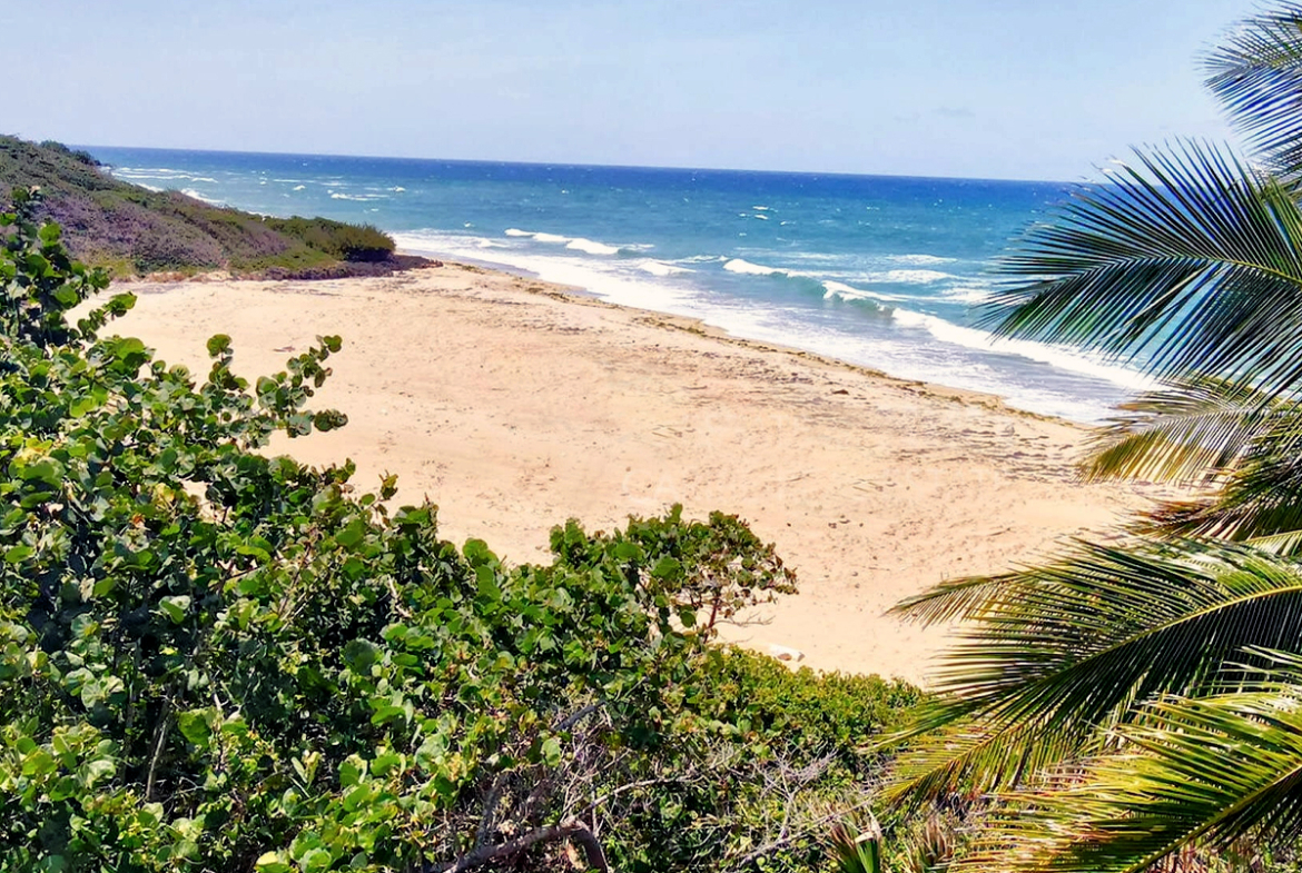 beachfront-lot-encuentro-beach-cabarete-dominican-republic