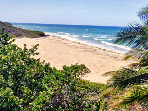 beachfront-lot-encuentro-beach-cabarete-dominican-republic