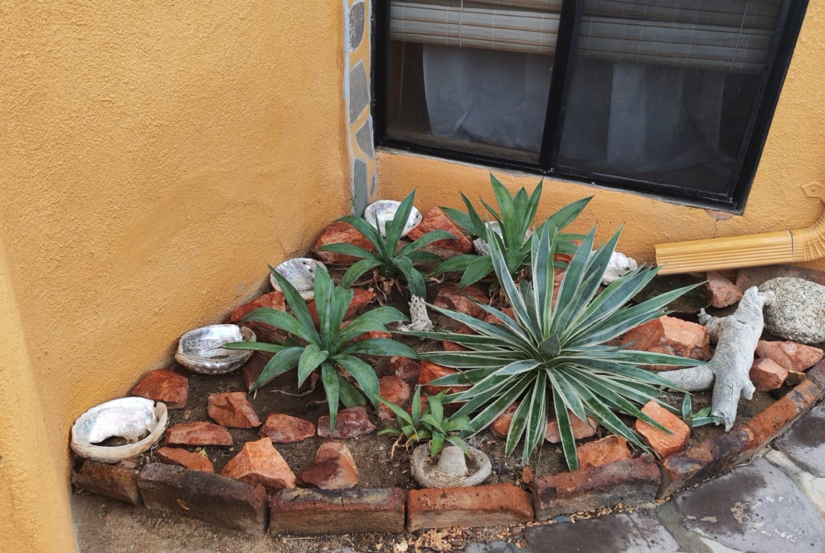 san-felipe-beach-house