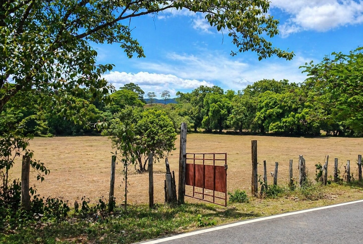 pixvae-veraguas-panama-ocean-view-land-for-sale