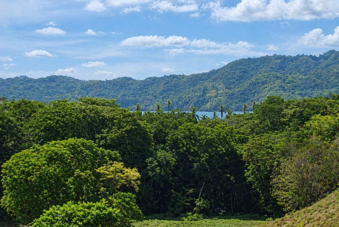 pixvae-veraguas-panama-ocean-view-land-for-sale