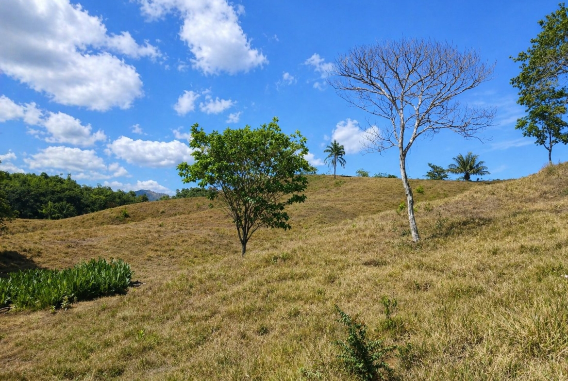 pixvae-veraguas-panama-ocean-view-land-for-sale