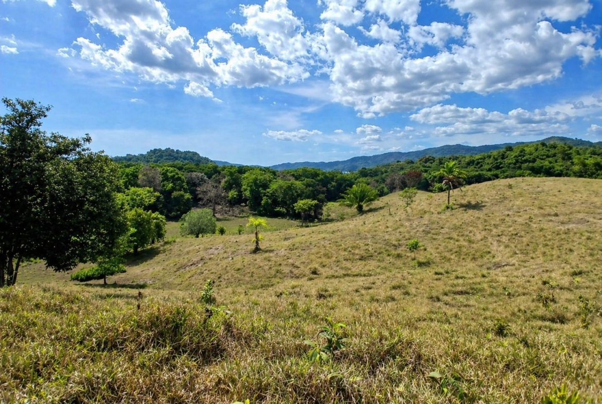 pixvae-veraguas-panama-ocean-view-land-for-sale