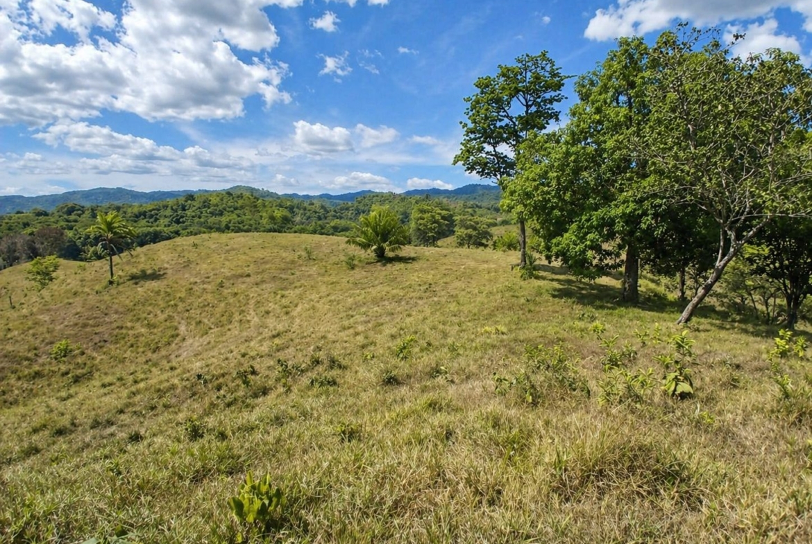 pixvae-veraguas-panama-ocean-view-land-for-sale